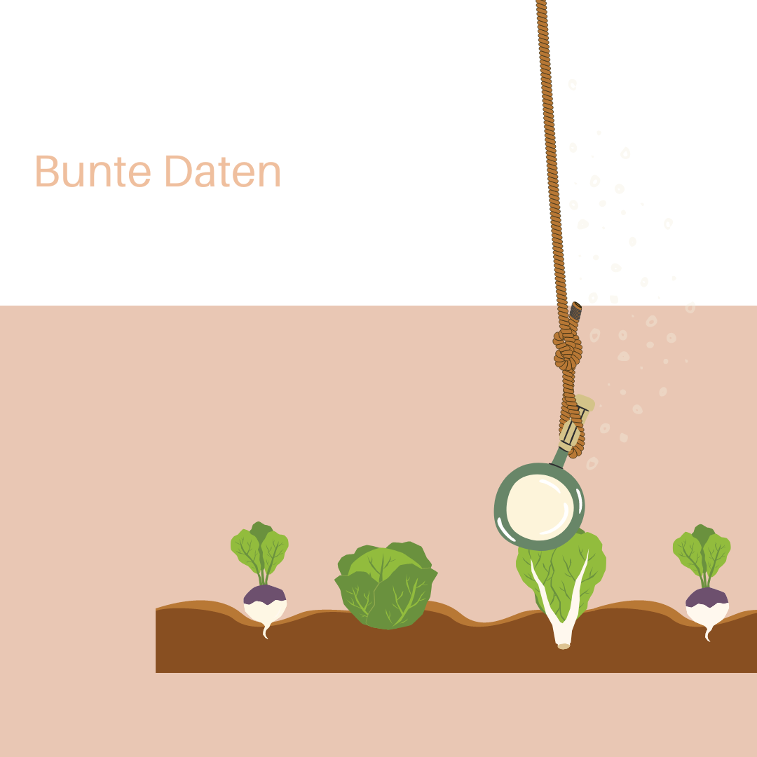 5MinutenClimateChance